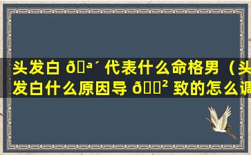 头发白 🪴 代表什么命格男（头发白什么原因导 🌲 致的怎么调理）